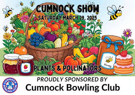 Image result for Cumnock Bowling Club
