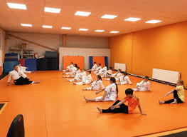 Image result for Mirfield Martial Arts Club