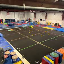 Image result for Hinckley Gymnastics Club