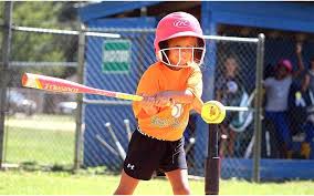 Image result for Elmbridge Girls` Little League