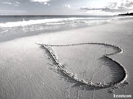 ���� ���� ������ �� ���� ������