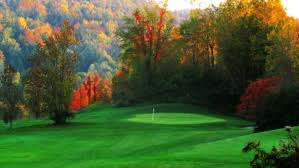 Image result for Whitehall Golf Club
