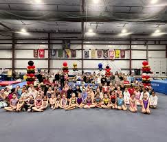 Image result for Blandford Forum Gymnastics & Kanga Club