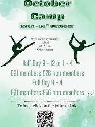 Image result for Wyre Forest School Of Gymnastics