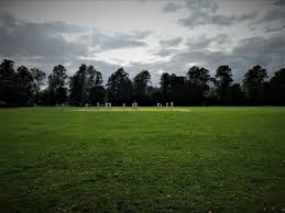 Image result for Buxted Park Cricket Club