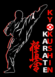 Image result for Kyokushin Karate