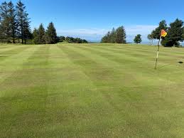 Image result for Beith Golf Club