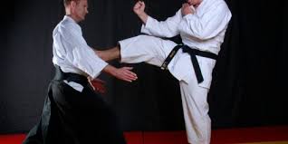 Image result for Tora Dojo