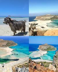 Image result for balos