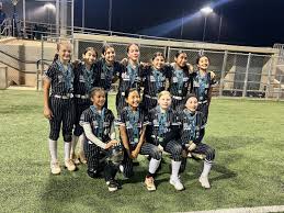 Image result for Oblivion Softball Club