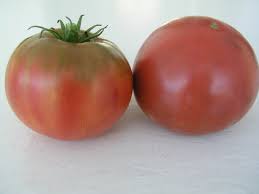 Afbeeldingsresultaat voor cherokee purple tomato