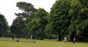 Image result for Capel Cricket Club