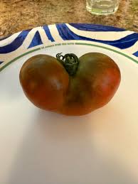 Afbeeldingsresultaat voor 1884 purple tomato