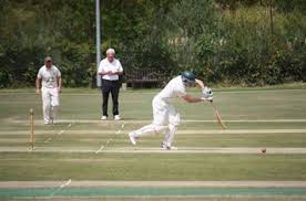 Image result for Kingstonian Cricket Club