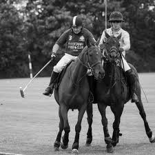 Image result for Taunton Vale Polo Club