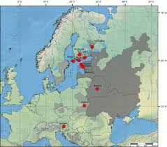 Attēlu rezultāti vaicājumam “Viola uliginosa”
