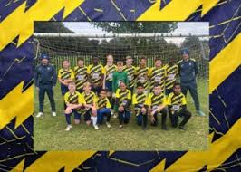 Image result for Wellingborough Town Cc