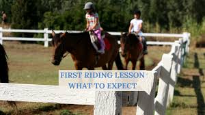 Image result for South Weylands Equestrian