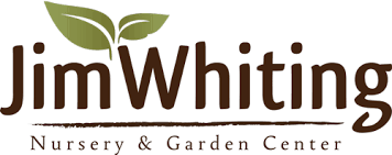 Image result for haaga tehron