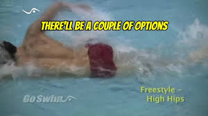 Image result for 1066 Swimmers