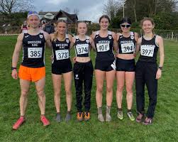 Image result for Deeside Aac