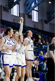 Image result for Jays Netball Club