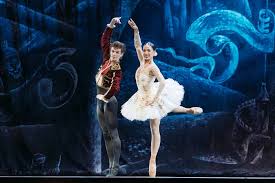 Attēlu rezultāti vaicājumam “Lycogala asperum young”