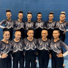 Image result for City Of Newcastle Gymnastics Academy