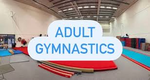 Image result for Hawth Gymnastics, Crawley