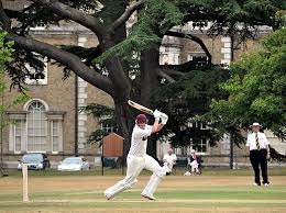 Image result for Peper Harow Cricket Club