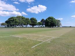 Image result for Nazeing Common Cricket Club