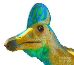 Bildergebnis für corythosaurus