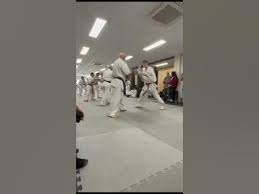 Image result for Chikara Dojo Of Kyokushin Karate