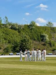 Image result for Nelson Cc