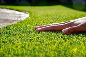 Image result for Astroturf