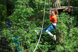 Image result for Go Ape! Dalby