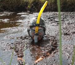 Image result for World Champion Bog Snorkelling Triathlete