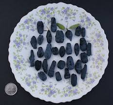 Attēlu rezultāti vaicājumam “Lonicera caerulea var. pallasii”