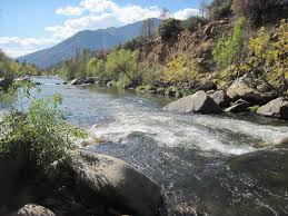 Image result for Kirkham and District Fly Fishers` Club