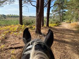 Image result for The Chobham Common Riders Association