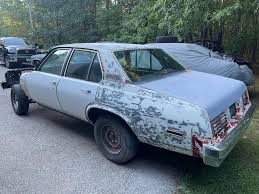 Image result for Silver Blue 1975 Nova