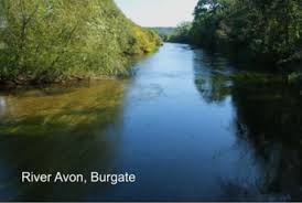 Image result for Swanage & District Angling Club