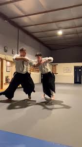 Image result for Newcastle Aikido Club