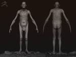 better model of man