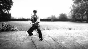 Image result for Shaolin Nam Pai Chuan Kung Fu - Manchester Martial Arts Centre