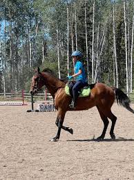 Image result for Lakes Riding Club
