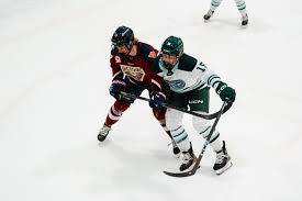 Image result for Fleet Hockey Club