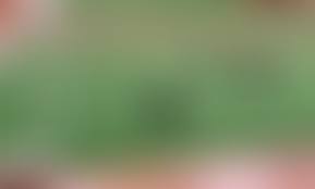 Image result for South Kelsey Indoor Bowling Club