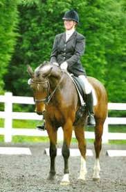 Image result for Chobham and District Riding Club