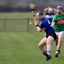 Image result for Causeway Hurling Club